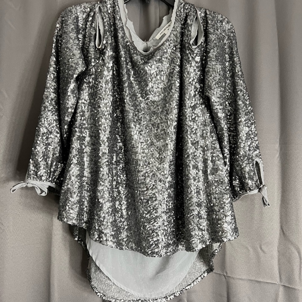 Silver sequin Top
